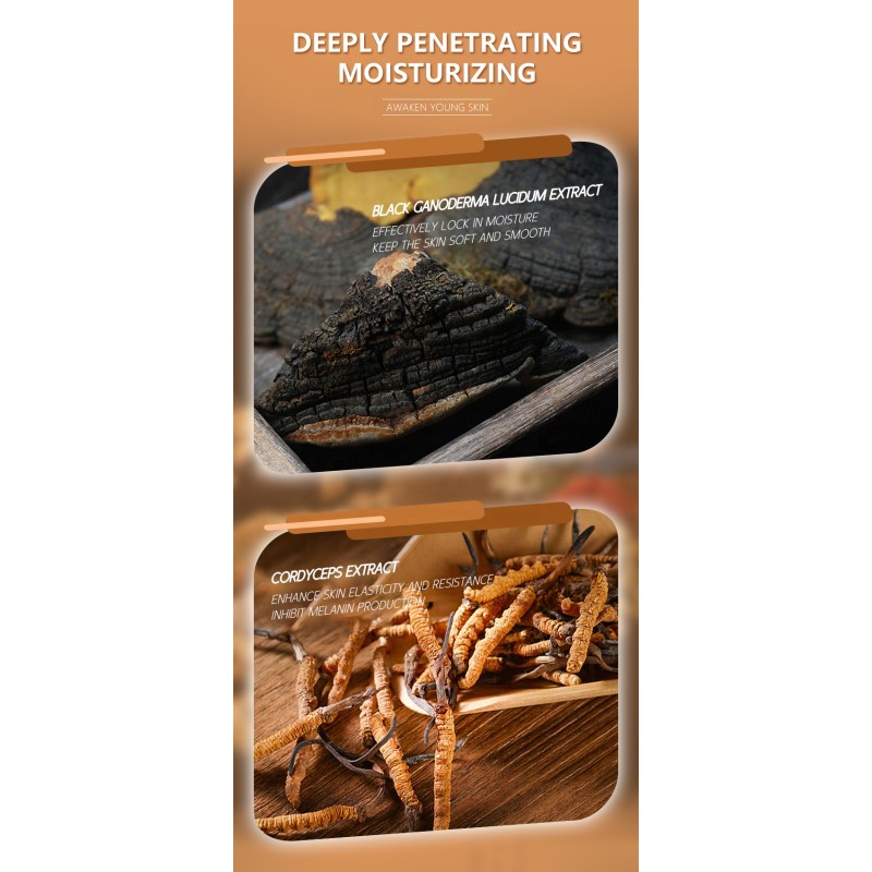 Face Cream Factory - Cordyceps Extract Anti Aging Anti Acne