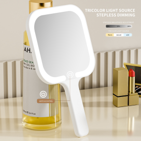 Hand Mirror Manufacturer - LED Fill Light Single Sided Leather Magnification