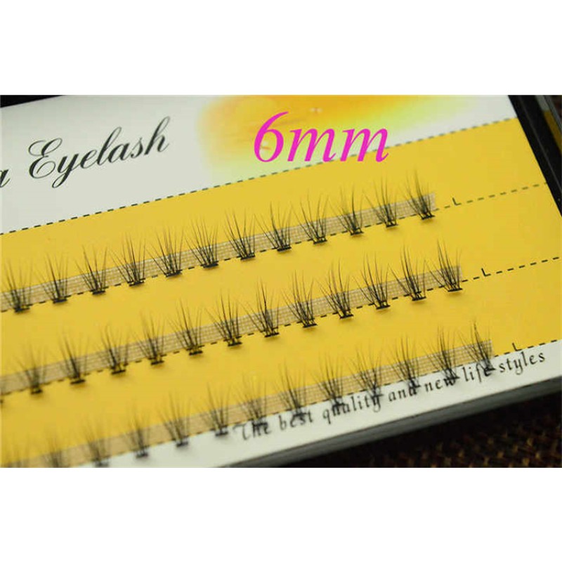 Eyelash Kit Wholesale - DIY Mink Lash Clusters 10D 20D 0.1mm Fan