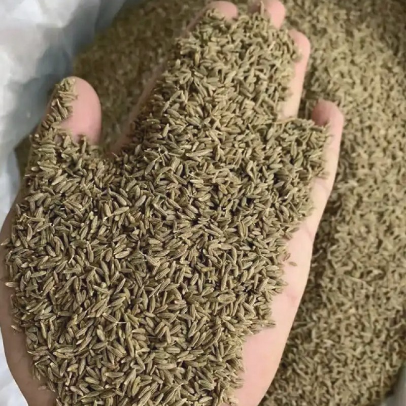Dried Cumin Seeds Manufacturer - Special Hot Selling Natural Granule Seasoning Single Spice Herb Organic