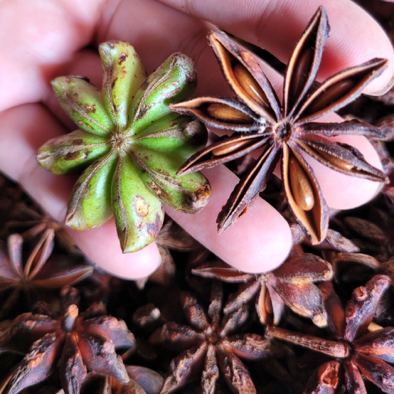 Organic Anise Star Manufacturer - Rich Tasting 100 Kilogram Spring Whole Spices Wholesale