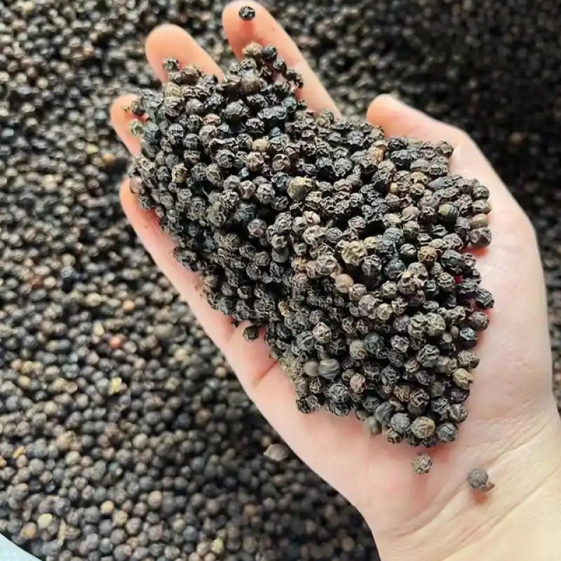 Black Pepper Manufacturer - International Herb Spice Product Premium Quality Single Spice Wholesale