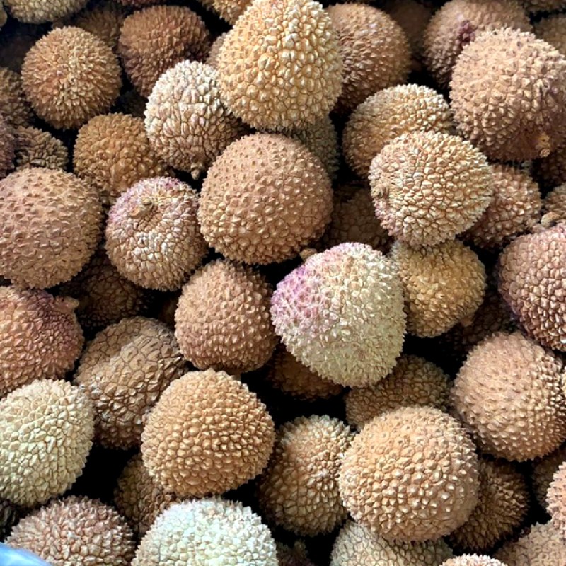 FeiZiXiao Litchi Manufacturer - High Quality Sweet Natural Brown Preserved Bulk Vacuum Pack AD Drying