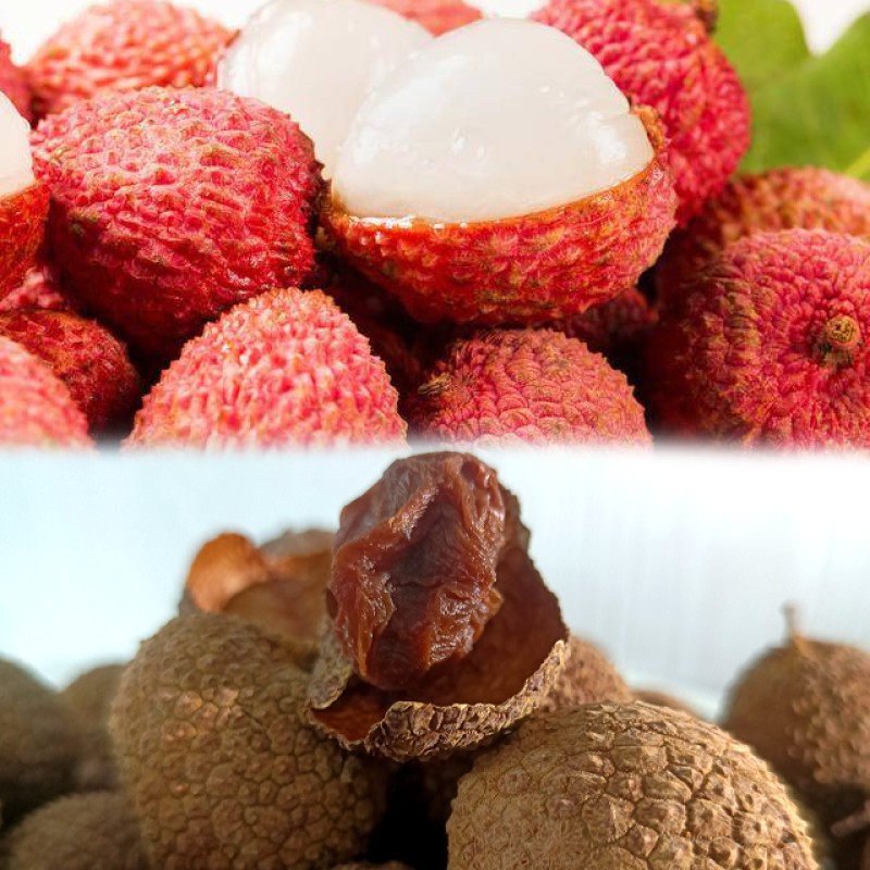 Dried Lychees Manufacturer - Naturally Dried No Additives Sweet Taste Whole Litchi Health Food Bulk AD Drying