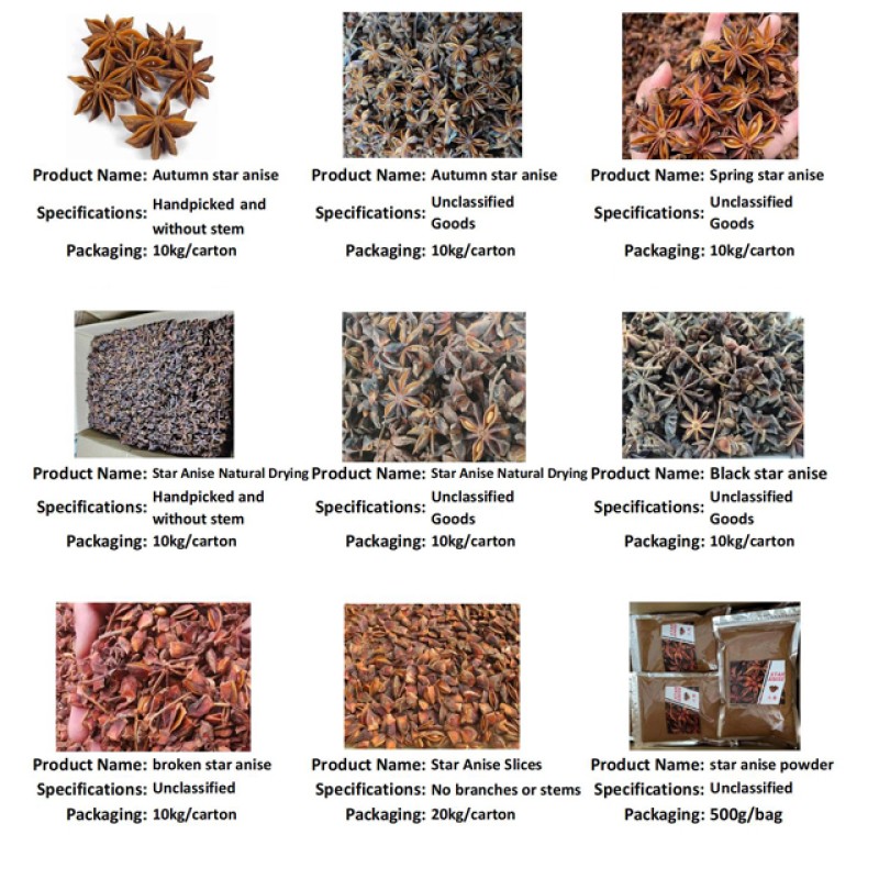 Star Anise Spices Manufacturer - High Quality Cheap Price Good Grade Product Chinese Origin