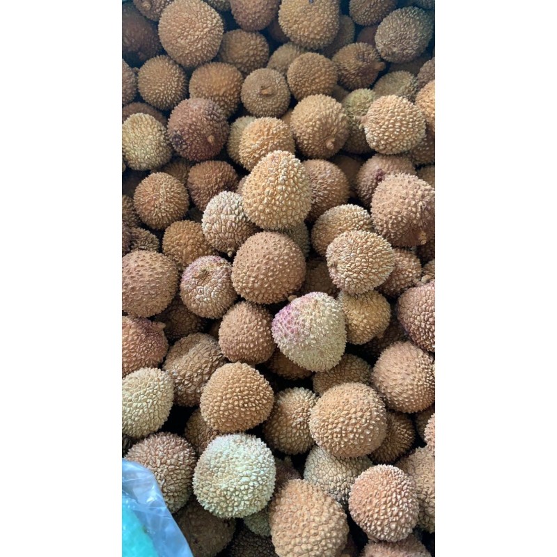 FeiZiXiao Litchi Manufacturer - High Quality Sweet Natural Brown Preserved Bulk Vacuum Pack AD Drying