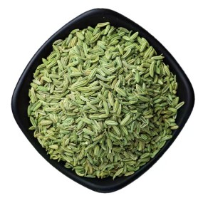 Fennel Seeds Manufacturer - Widely Used High Quality Organic Fresh Single Spice Wholesale