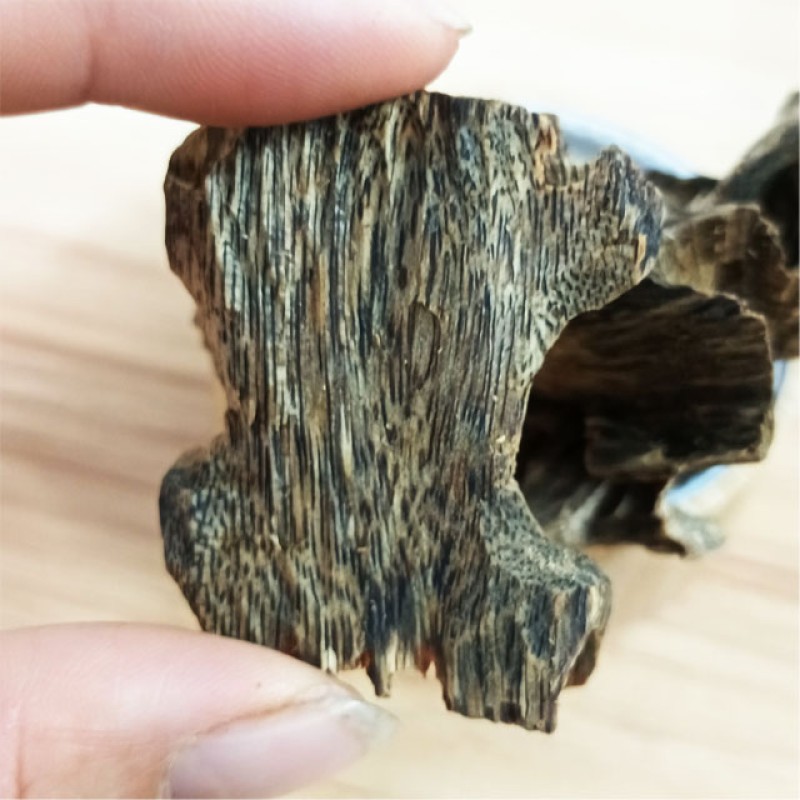 Agarwood Chips Manufacturer - Heartwood Selected Exceptional Aroma Oud for Fragrance