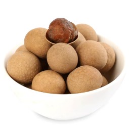 Dried Longan Fruit Manufacturer - Organic Sweet Taste Long lasting Freshness Natural Preservation Bulk Pack Economical