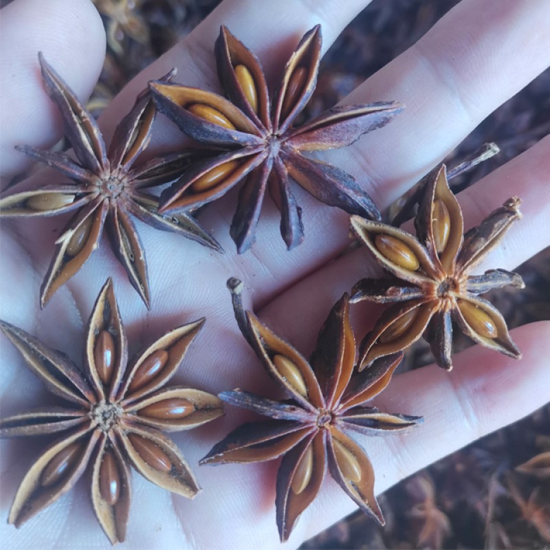 Autumn Star Anise Herb Manufacturer - 150g Dried Raw Spices Spicy Taste Single Spice Oil