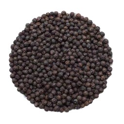 Black Pepper Manufacturer - International Herb Spice Product Premium Quality Single Spice Wholesale