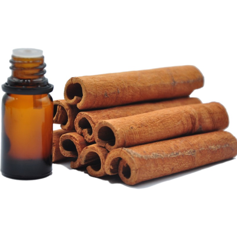 Chinese Cinnamon Incense Stick Manufacturer - Long Natural Organic Bulk Spices