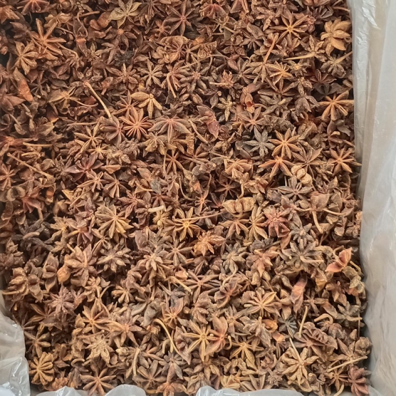 Star Anise Herb Manufacturer - Wholesale Supply Natural Fresh Style Whole Piece Raw Processing