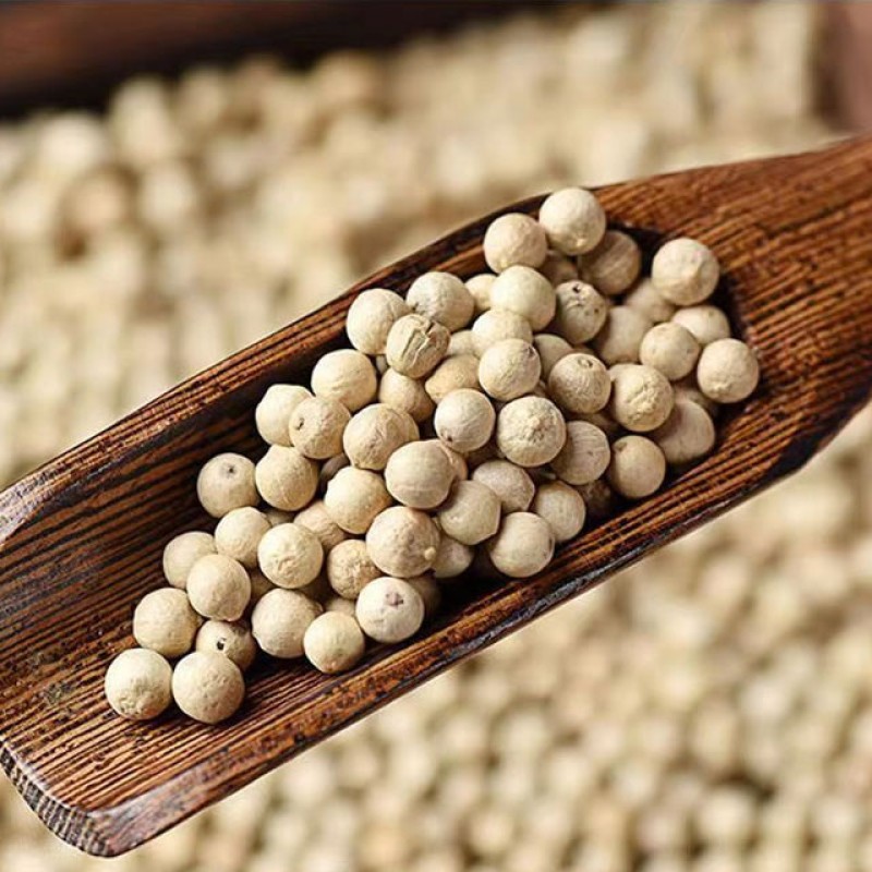 White Pepper Manufacturer - Authentic Culinary Flavor Premium Whole Spicy Hot Single Spice for Recipes