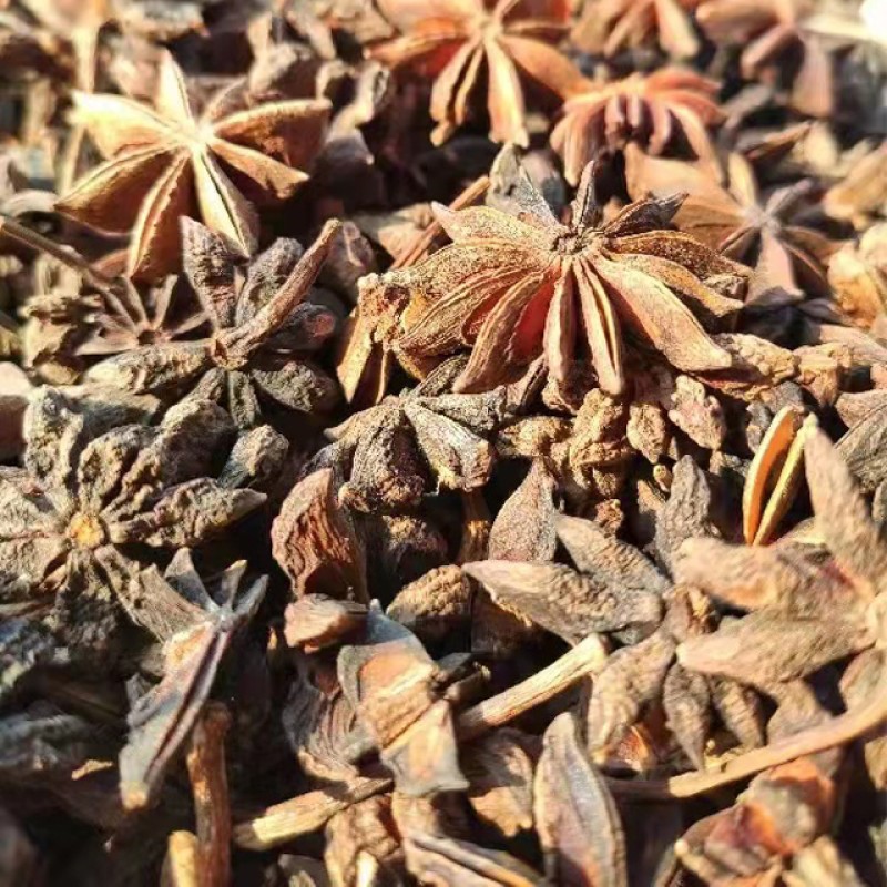 Star Anise Herb Manufacturer - Wholesale Supply Natural Fresh Style Whole Piece Raw Processing
