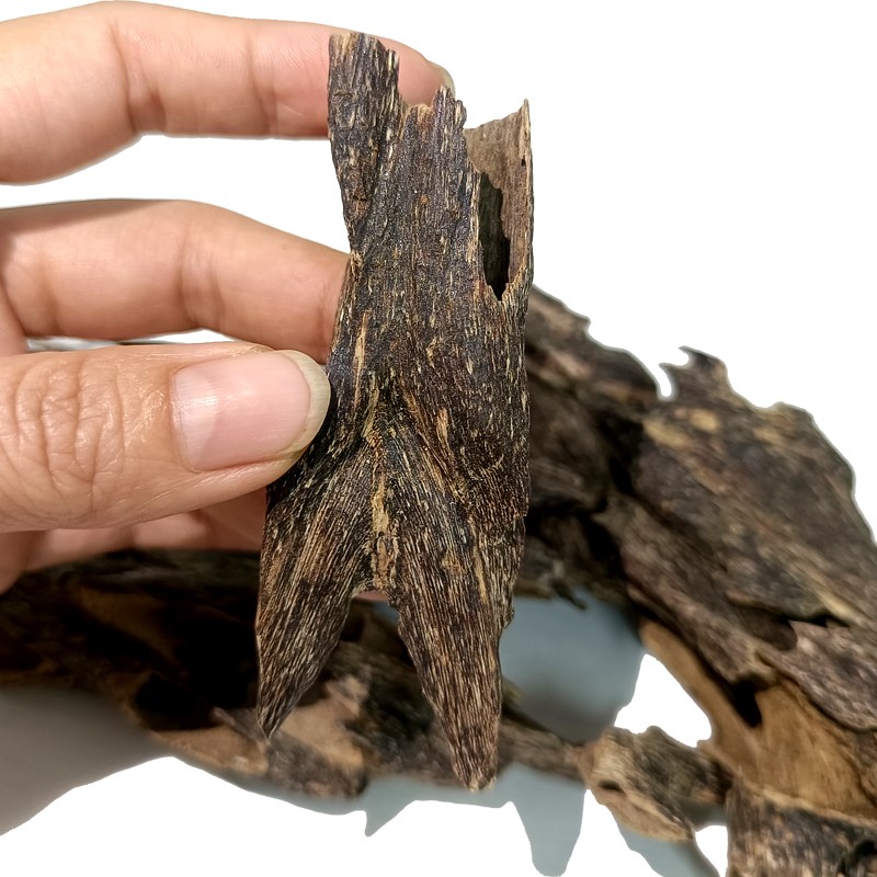 KING ANT AGARWOOD CHIP Manufacturer - Pure Oud from China Strong Sweet Scent for Home Use