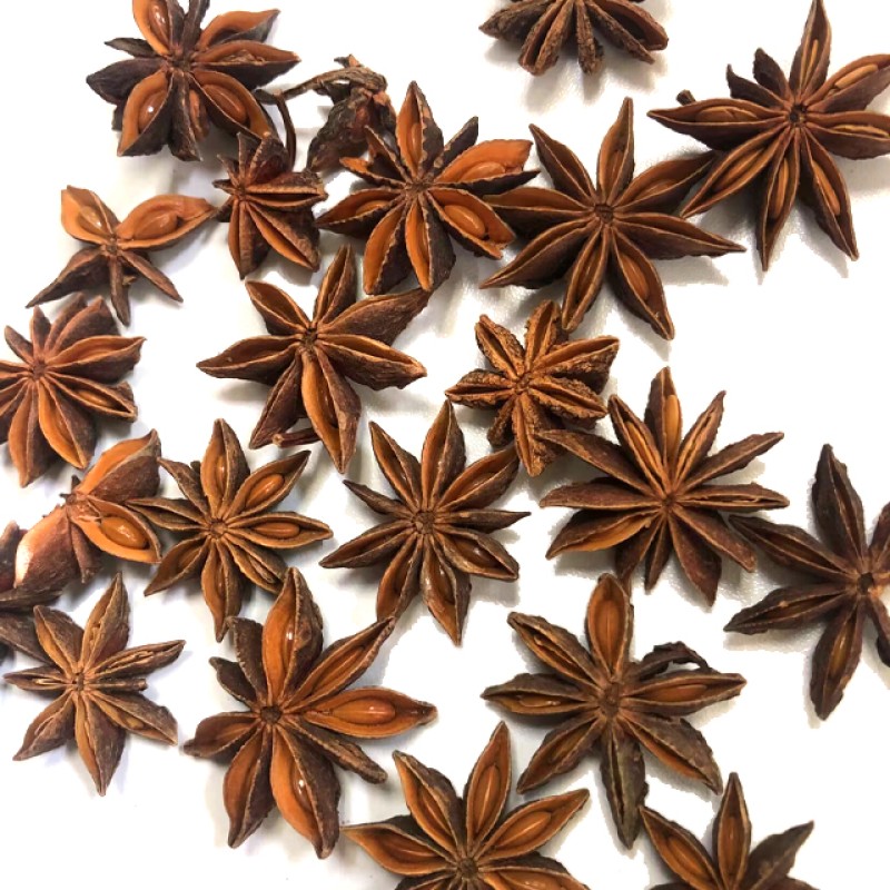 Autumn Flower Spring Anise Herb Manufacturer - Dried Raw Spices Spicy Taste Single Spice Oil Preserved 1kg MOQ
