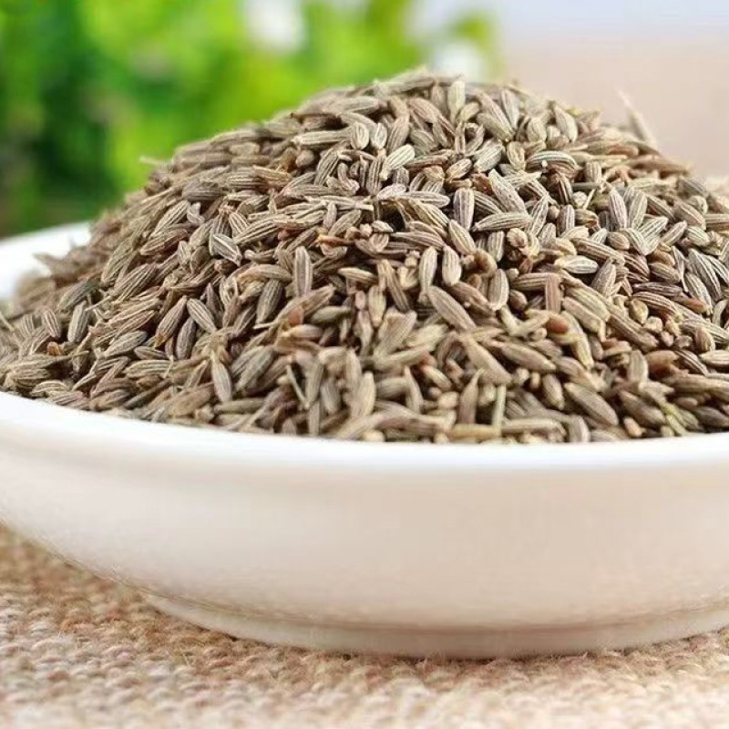 Dried Cumin Seeds Manufacturer - Special Hot Selling Natural Granule Seasoning Single Spice Herb Organic