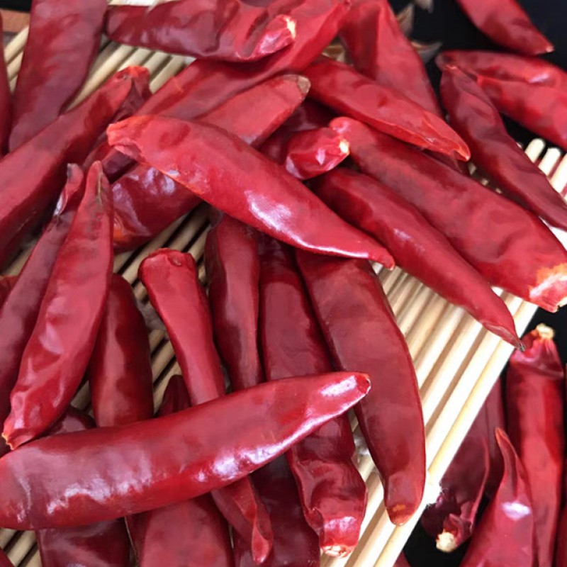 Dried Red Chili Peppers Manufacturer - Flavour Enhancing Natural Fresh Spice Seasoning Bulk Supply