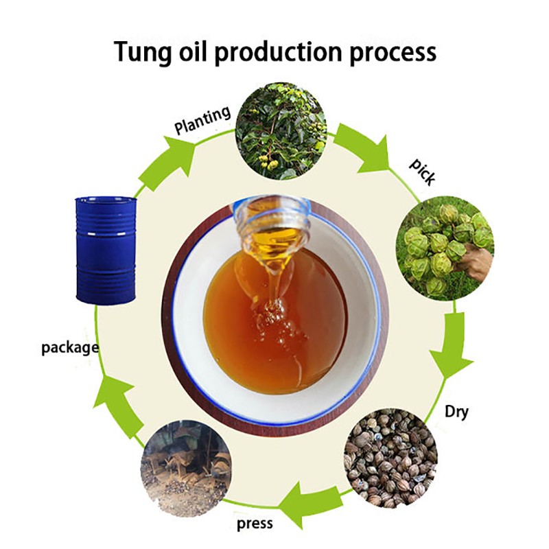 Tung Oil Manufacturer - High Quality Pure Oil for Furniture Paint Liquid Coating Bulk Bottled Refined