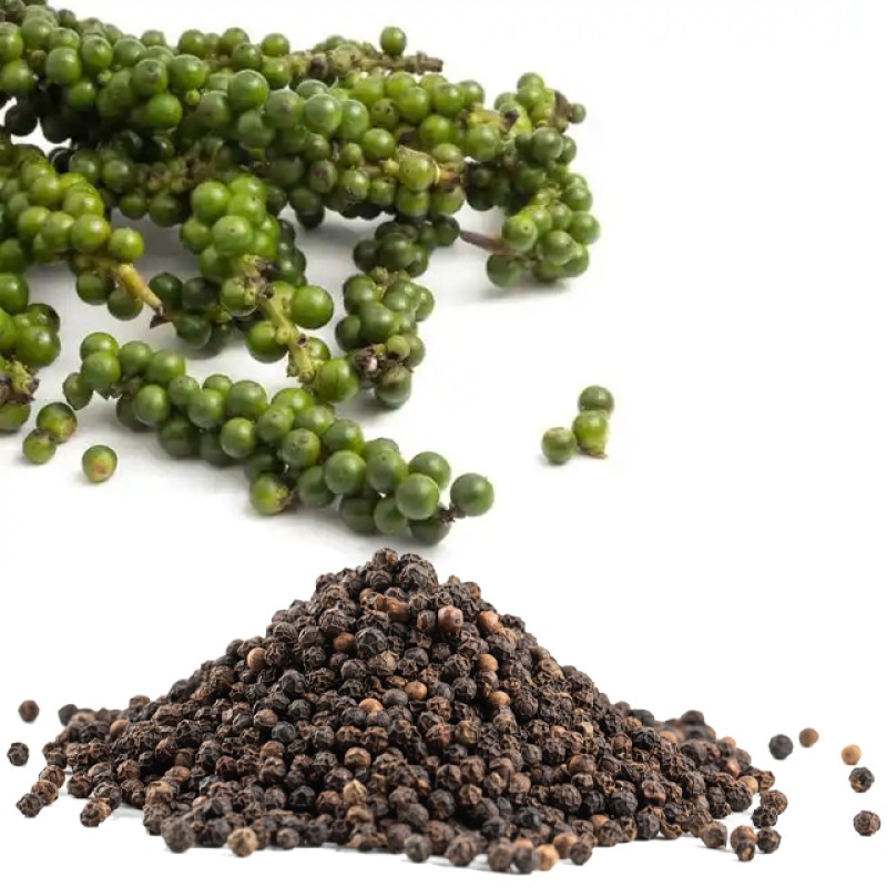 Black Pepper Manufacturer - International Herb Spice Product Premium Quality Single Spice Wholesale