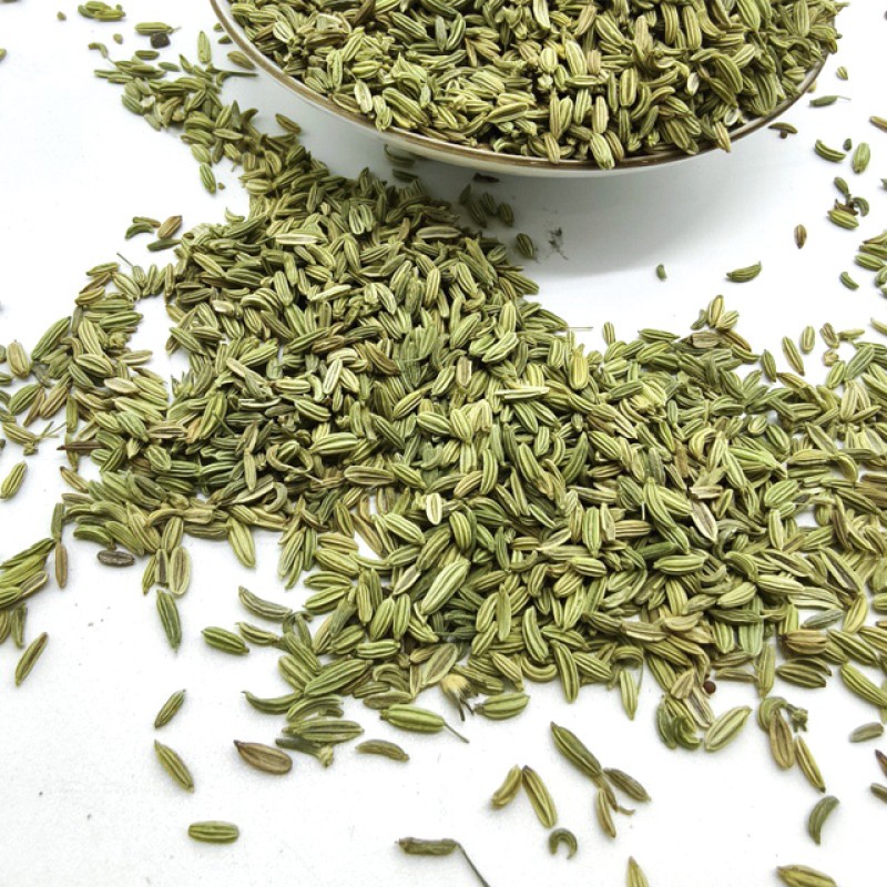 Fennel Seeds Manufacturer - Widely Used High Quality Organic Fresh Single Spice Wholesale