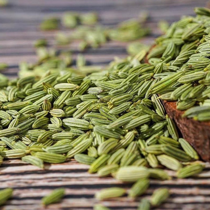 Fennel Seeds Manufacturer - Widely Used High Quality Organic Fresh Single Spice Wholesale