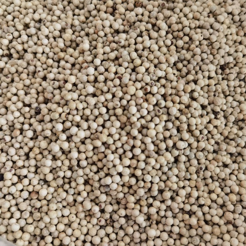 White Pepper Manufacturer - Authentic Culinary Flavor Premium Whole Spicy Hot Single Spice for Recipes
