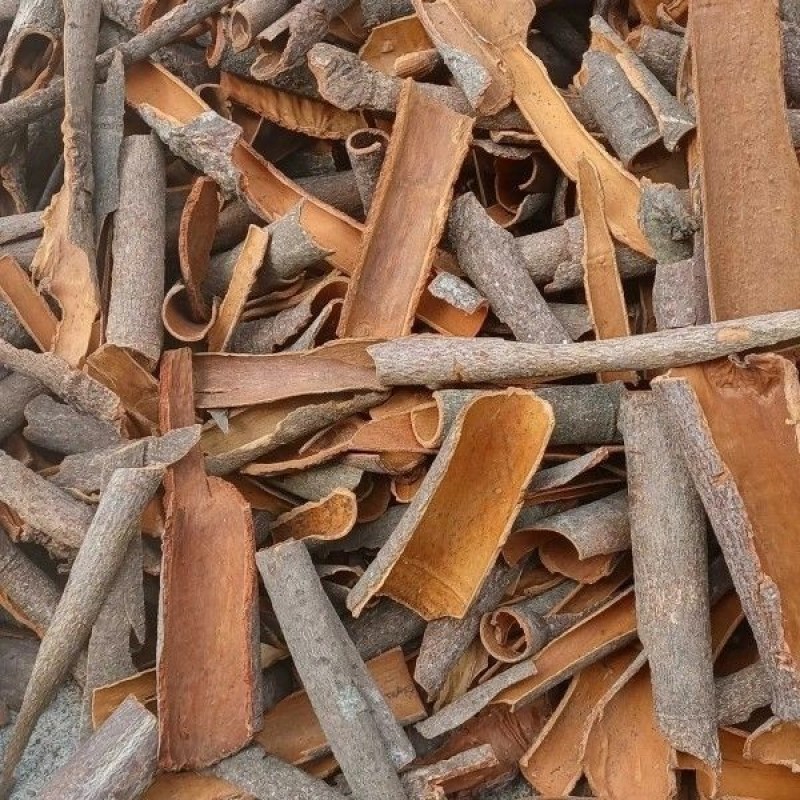 Broken Cinnamon Spice Manufacturer - High Quality Pure Natural Direct Supply Chips Form Raw Herb Single Spice