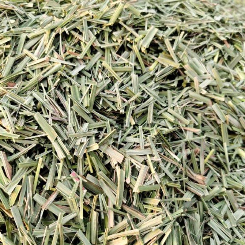 Green Lemongrass Tea Manufacturer - Organic Natural New Harvest with Fresh Dried Herbs Good Scent