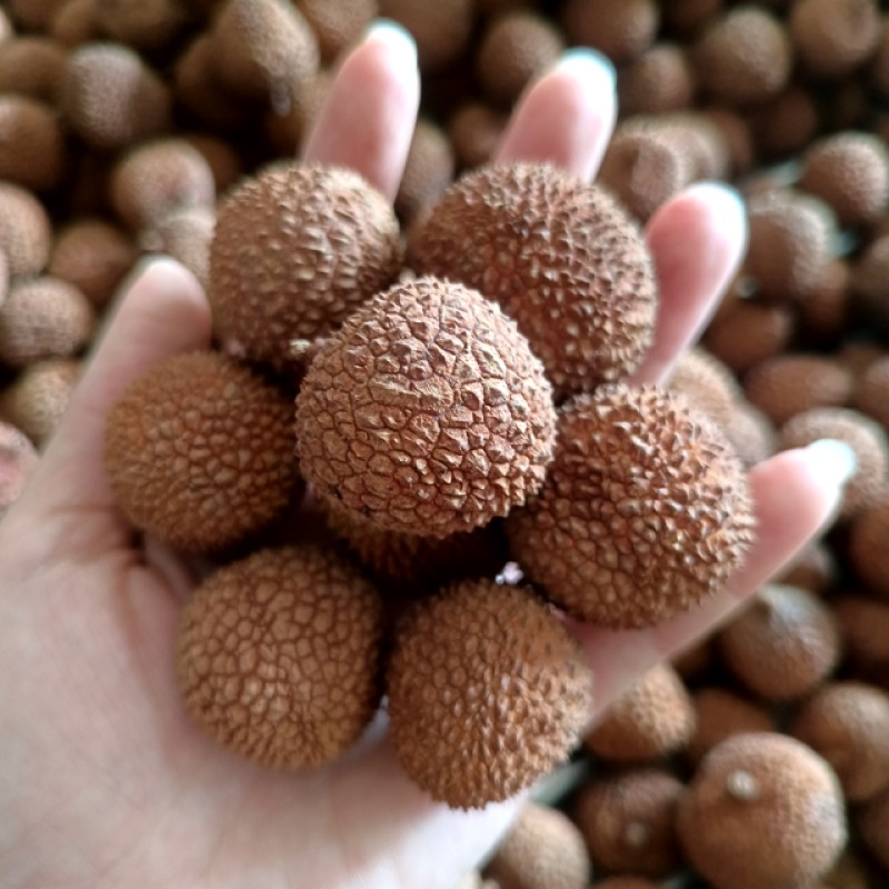 FeiZiXiao Litchi Manufacturer - High Quality Sweet Natural Brown Preserved Bulk Vacuum Pack AD Drying