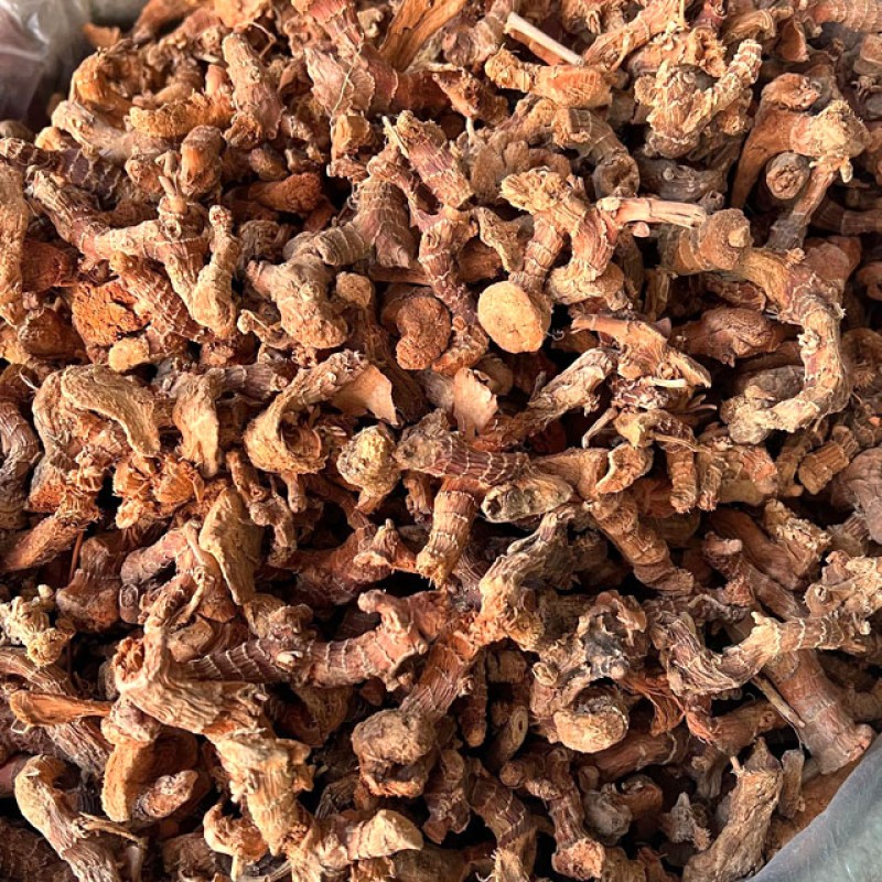 Organic Galangal Manufacturer - Best Selling Quality Dried Single Spice Herb AD Drying China Wholesale