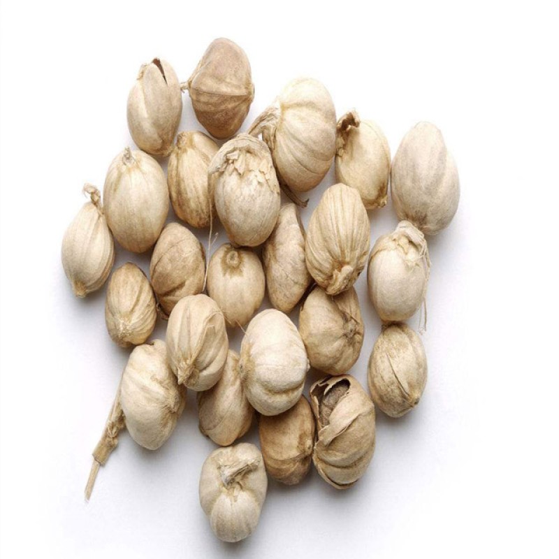 White Cardamom Manufacturer - Wholesale Dried Natural Nutmeg Spice Herb Product Suitable for Food Industry
