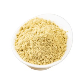 Ginger Root Extract Powder Manufacturer - Supply Pure Natural Organic Single Spices & Herbs