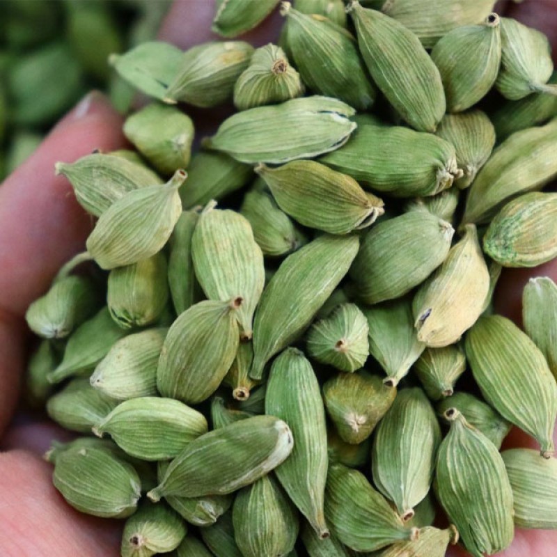 Green Cardamom Manufacturer - Premium Grade Chinese Single Herb Fresh Whole Dried for Cooking Granule