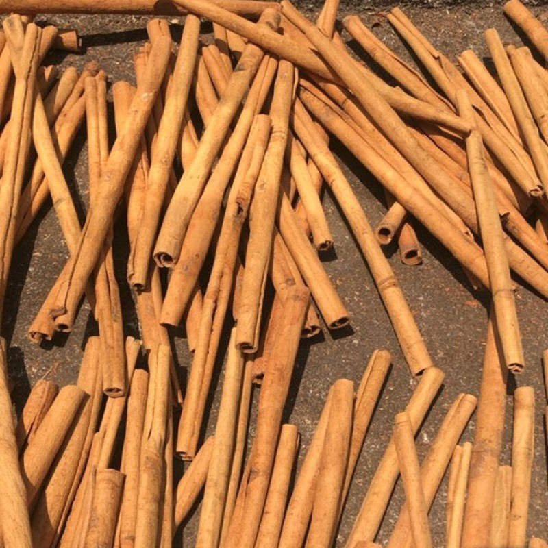 Cinnamon Sticks Manufacturer - Factory Wholesale Multi purpose Antioxidant Rich Refined