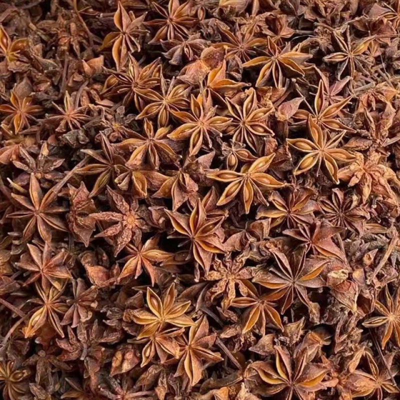 Autumn Flower Spring Anise Herb Manufacturer - Dried Raw Spices Spicy Taste Single Spice Oil Preserved 1kg MOQ