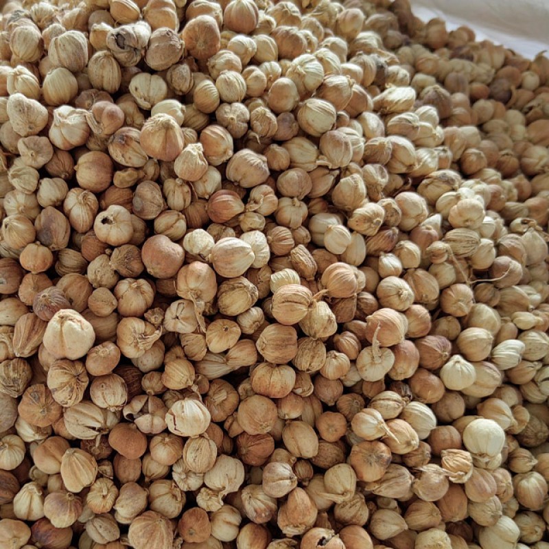 White Cardamom Manufacturer - Wholesale Dried Natural Nutmeg Spice Herb Product Suitable for Food Industry