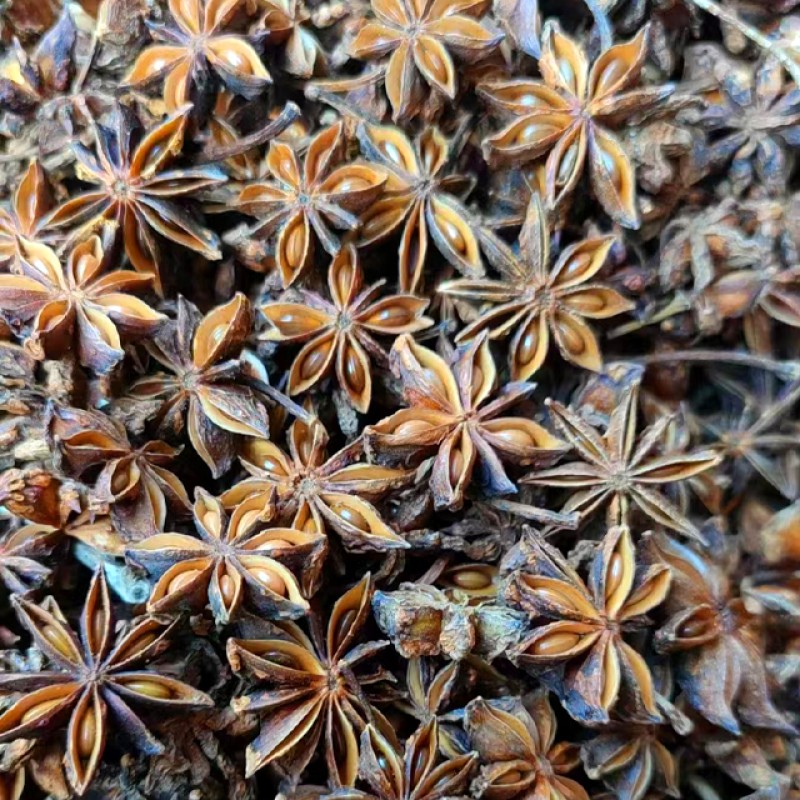 Autumn Star Anise Manufacturer - Wholesale High Quality Natural Dried Whole China Manufacturers