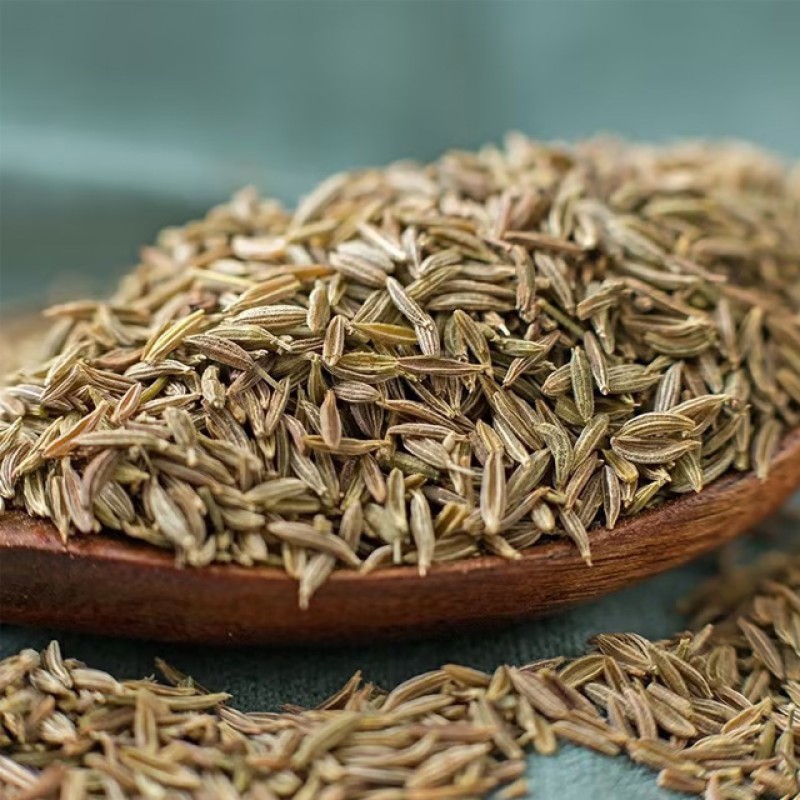 Dried Cumin Seeds Manufacturer - Special Hot Selling Natural Granule Seasoning Single Spice Herb Organic