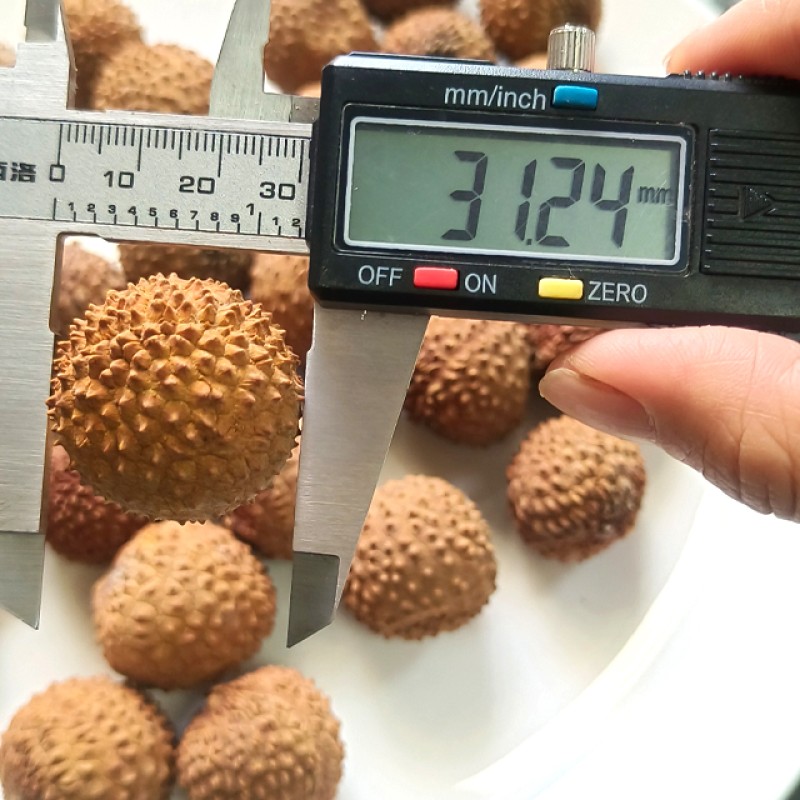 Dried Lychees Manufacturer - Naturally Dried No Additives Sweet Taste Whole Litchi Health Food Bulk AD Drying