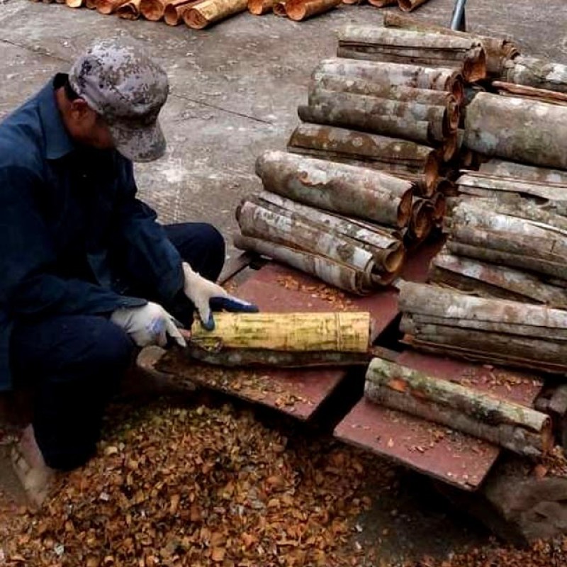 Split Broken Cassia Manufacturer - Versatile Low Moisture Natural Dried for Cooking