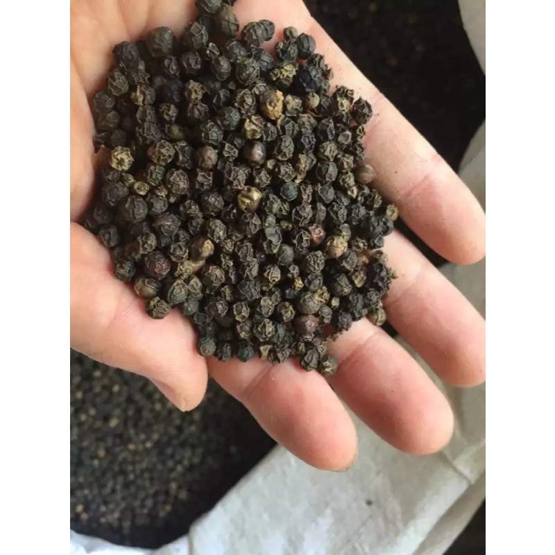 Black Pepper Extract Powder Manufacturer - Sell Well New Type Wholesale Spices Powder