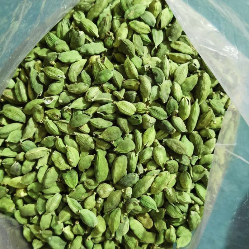 Green Cardamom Manufacturer - Wholesale Premium Grade Whole Dried Spices Raw Style Export Variety Granule