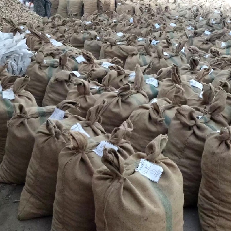 Dry Ginger Manufacturer - Hot Selling Good Quality Organic Whole Ginger China Wholesale