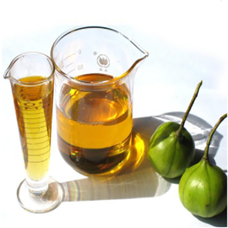 Tung Oil Manufacturer - Factory Supply Premium Grade Pure CAS No. 8001-20-5