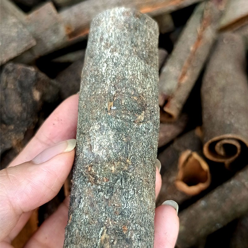 Cassia Cinnamon Slices Manufacturer - Single Spice Herb Sweet Spicy Black Tea FD Nature's Seasoning Bark Dried