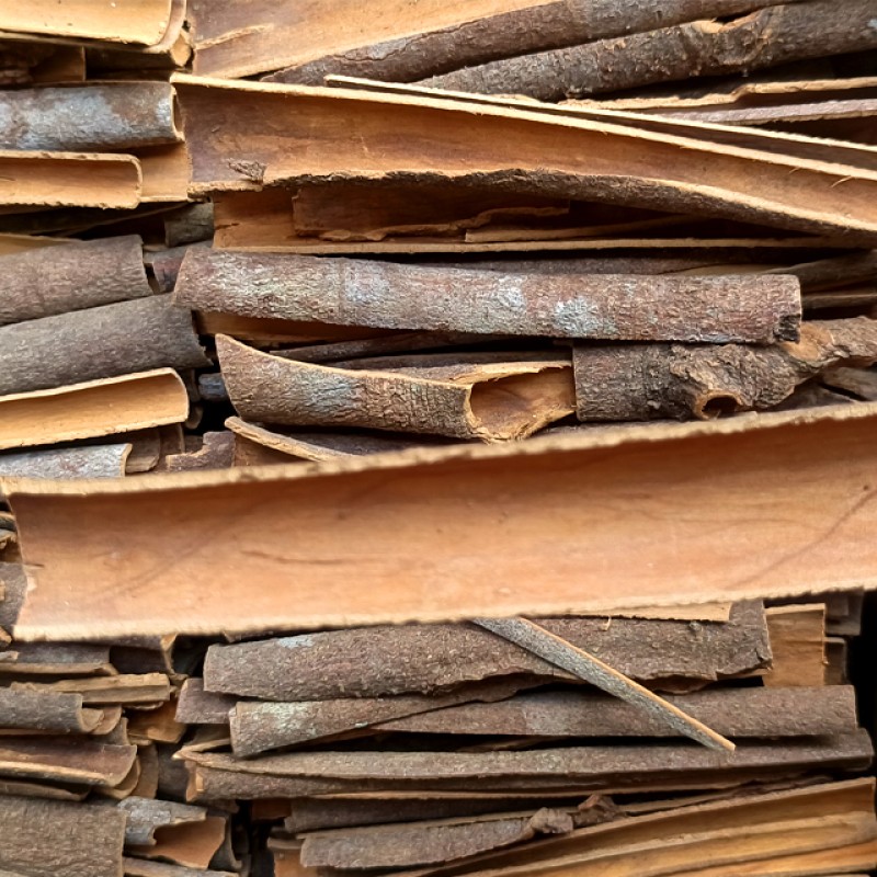 Split Cinnamon Manufacturer - Various Good Quality Pure Organic Sun Dried Natural for Cooking