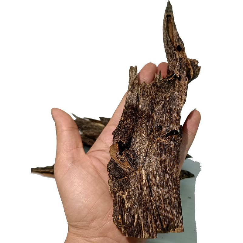 KING ANT AGARWOOD CHIP Manufacturer - Pure Oud from China Strong Sweet Scent for Home Use