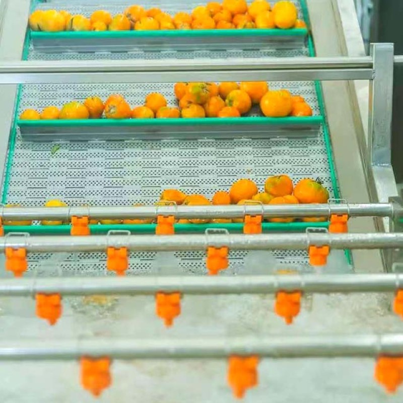 Dried Persimmon Manufacturer - Premium Quality Natural Drying Process Healthy Snacking Preserved Fruit Bulk